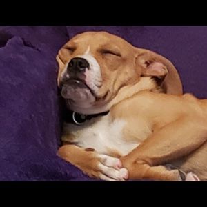 Meet your Posher, Caitlin